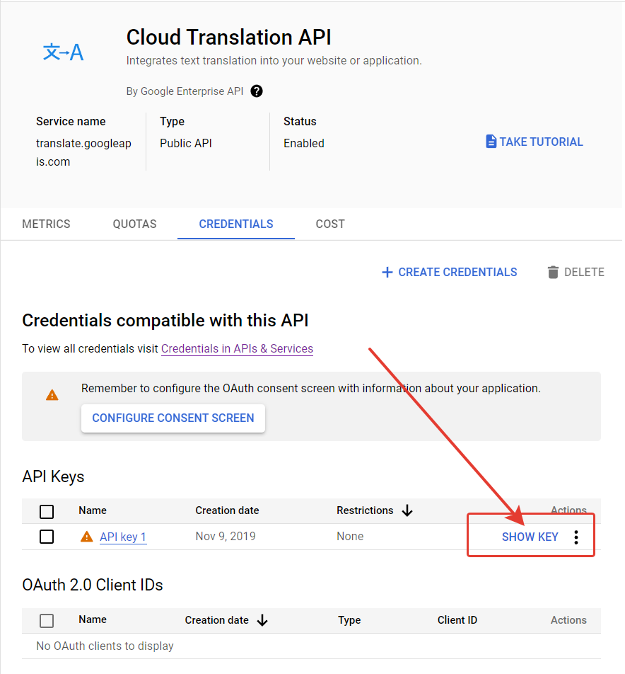Как получить токен Google Translate API